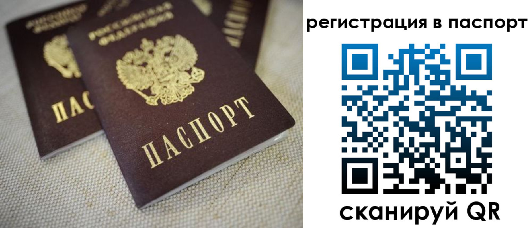 прописка гарантия в Орле